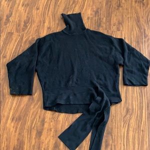 Zara Heavy Knit Turtleneck sweater